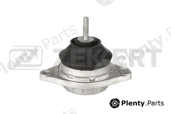 Zekkert GM-4192 — Mounting, engine