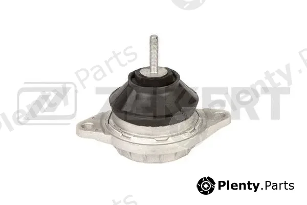 Zekkert GM-3017 — Mounting, engine