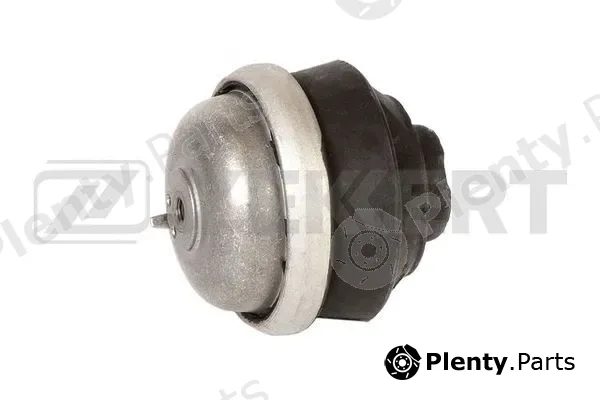 Zekkert GM-4048 — Mounting, engine