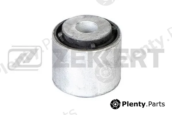 Zekkert GM-5128 — Mounting, control/trailing arm