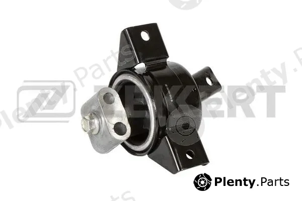 Zekkert GM-3936 — Mounting, engine