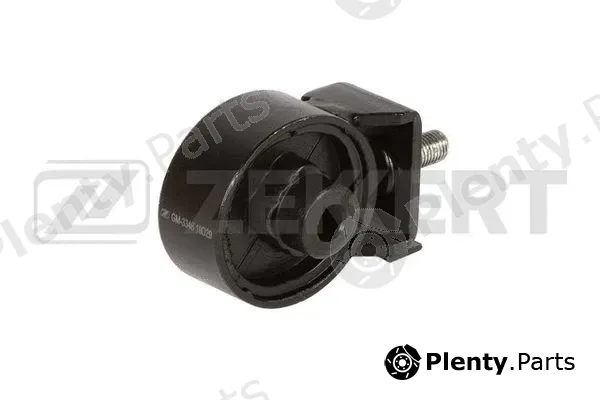 Zekkert GM-3346 — Mounting, engine