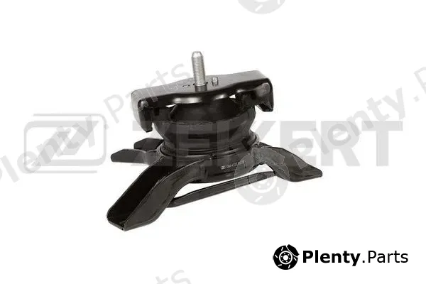 Zekkert GM-4123 — Mounting, engine