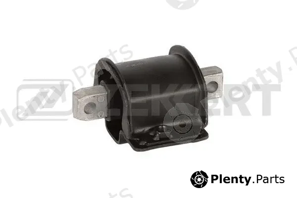 Zekkert GM-4193 — Mounting, engine