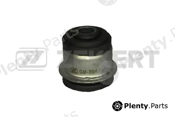 Zekkert GM-3041 — Mounting, engine