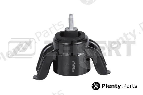 Zekkert GM-3060 — Mounting, engine