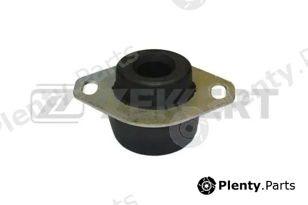 Zekkert GM-3096 — Mounting, engine