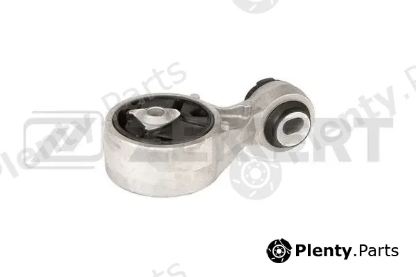 Zekkert GM-4055 — Mounting, engine