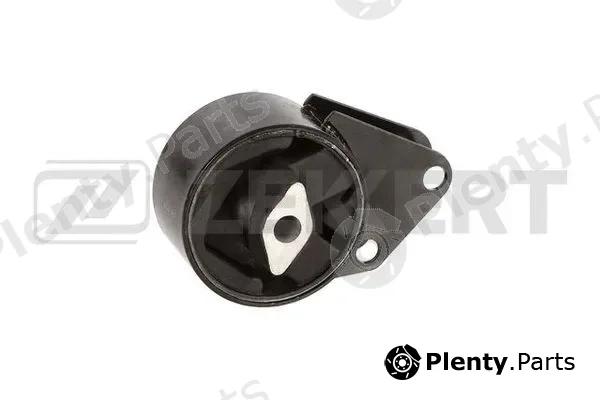 Zekkert GM-4183 — Mounting, engine