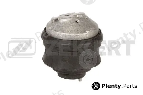 Zekkert GM-4189 — Mounting, engine