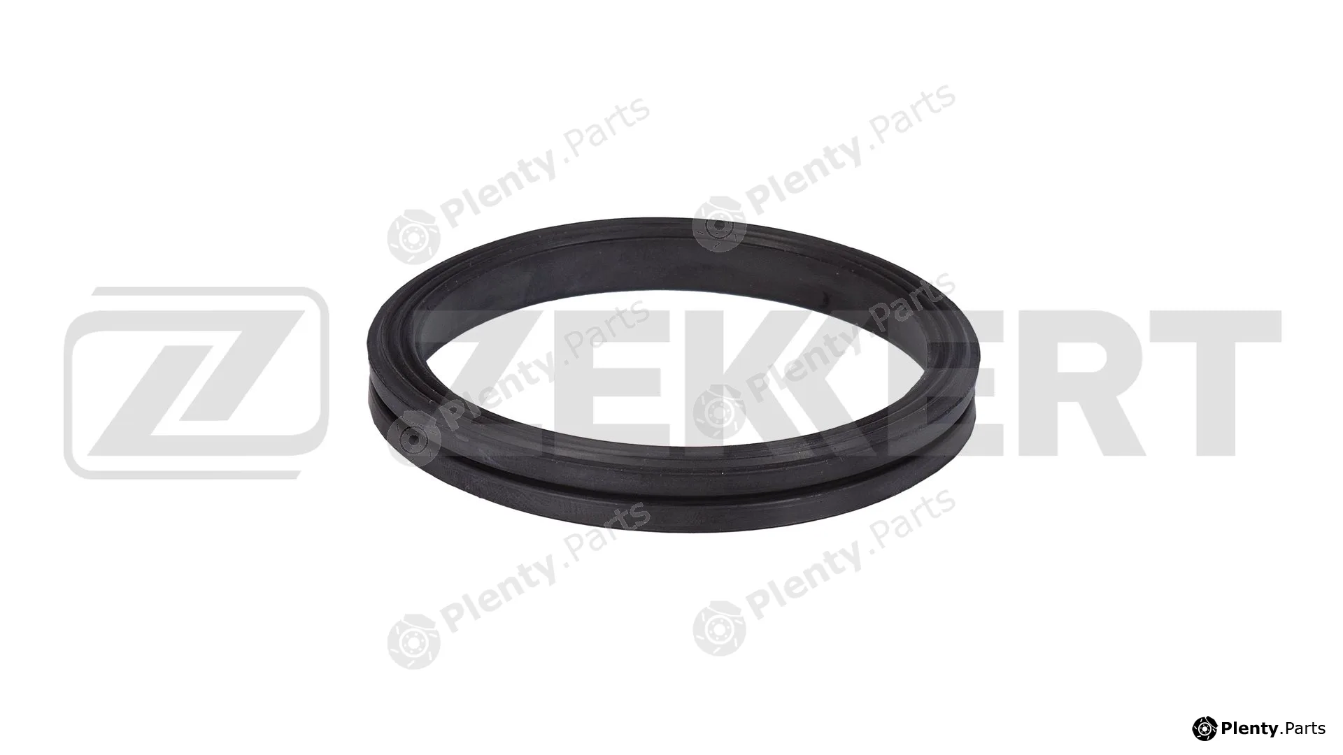 Zekkert DI-3005 — Gasket, timing case