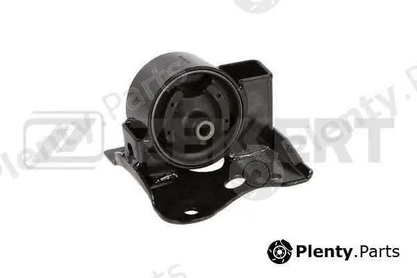 Zekkert GM-4207 — Mounting, engine