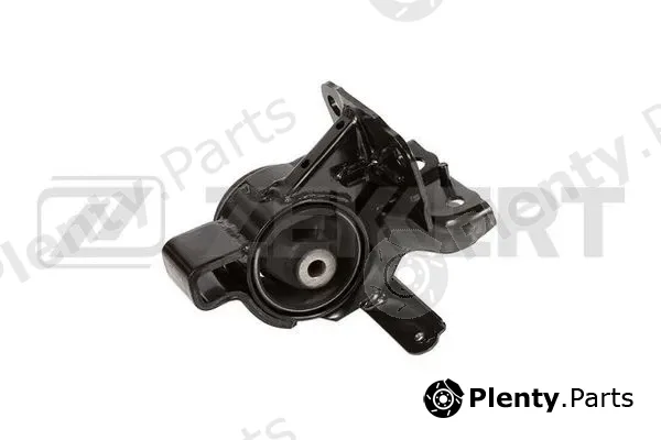 Zekkert GM-4154 — Mounting, engine