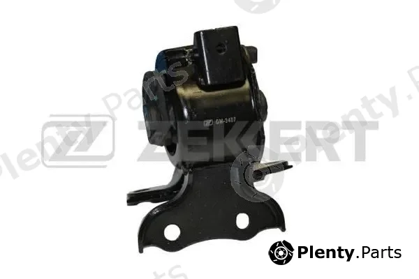 Zekkert GM-3407 — Mounting, engine