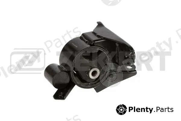 Zekkert GM-3698 — Mounting, engine