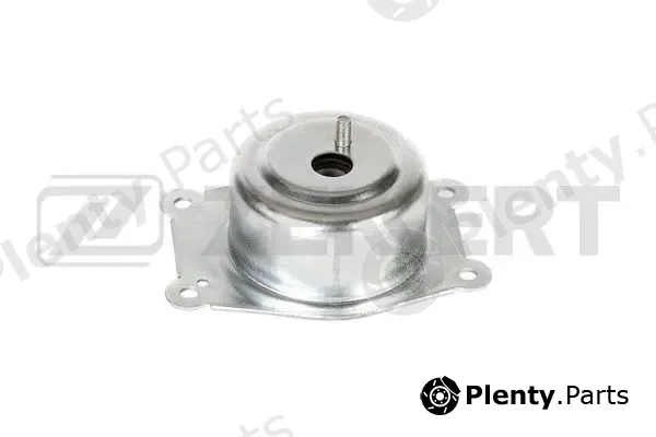 Zekkert GM-4050 — Mounting, engine