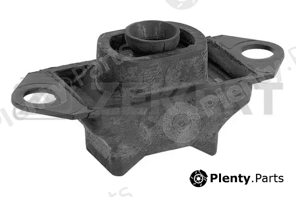 Zekkert GM-3182 — Mounting, engine