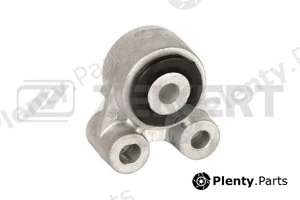 Zekkert GM-4058 — Mounting, engine