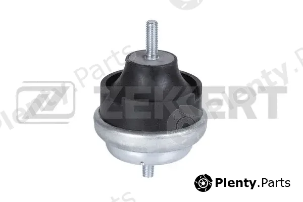 Zekkert GM-3034 — Mounting, engine