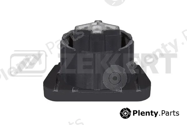 Zekkert GM-3055 — Mounting, engine