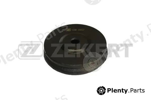 Zekkert GM-3657 — Mounting, engine
