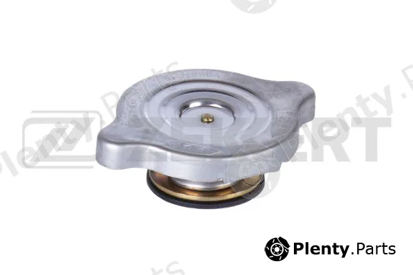 Zekkert BD-2011 — Cap, coolant tank