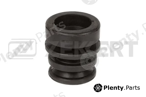 Zekkert GM-3867 — Mounting, engine