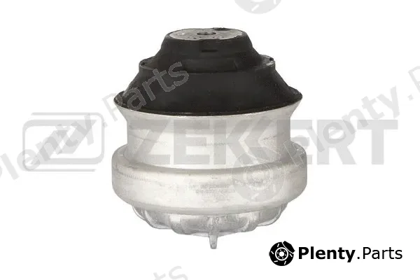 Zekkert GM-3000 — Mounting, engine