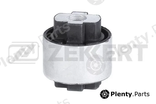Zekkert GM-5238 — Mounting, control/trailing arm