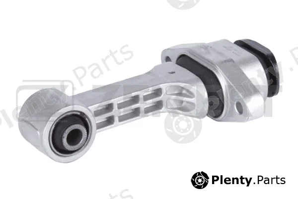 Zekkert GM-3081 — Mounting, engine