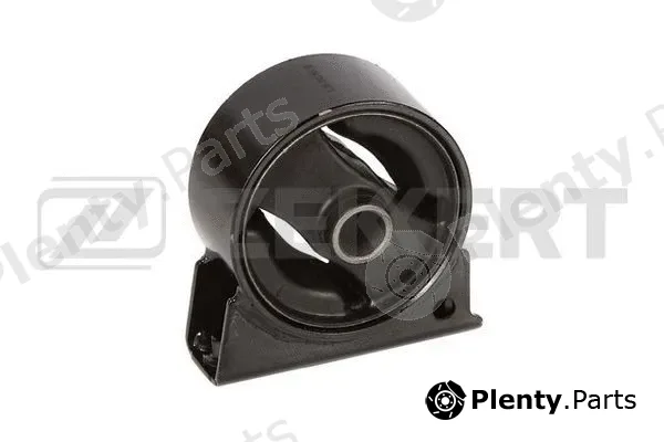 Zekkert GM-3368 — Mounting, engine