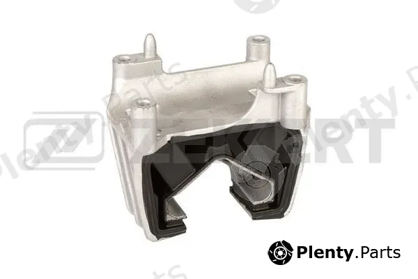 Zekkert GM-4196 — Mounting, engine