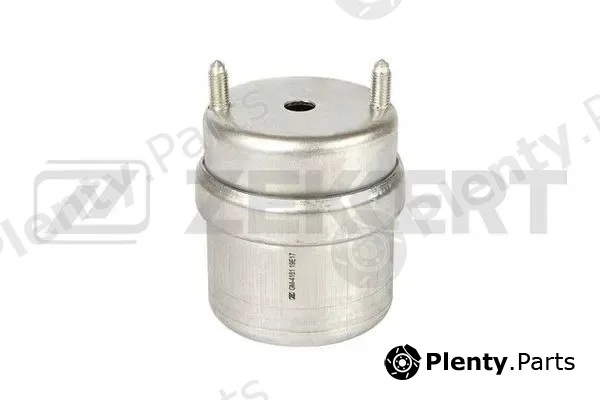 Zekkert GM-4151 — Mounting, engine