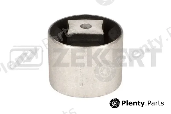 Zekkert GM-4067 — Mounting, engine