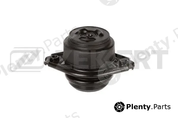 Zekkert GM-4166 — Mounting, engine