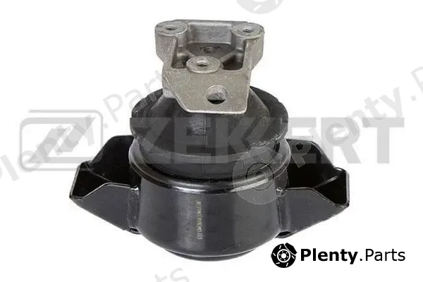 Zekkert GM-3018 — Mounting, engine