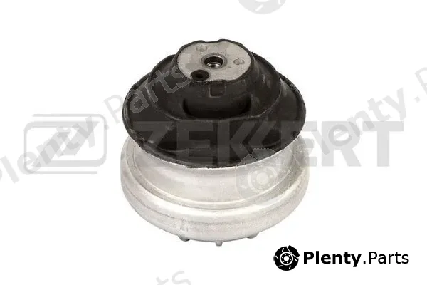 Zekkert GM-4168 — Mounting, engine