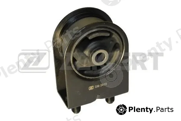 Zekkert GM-3419 — Mounting, engine