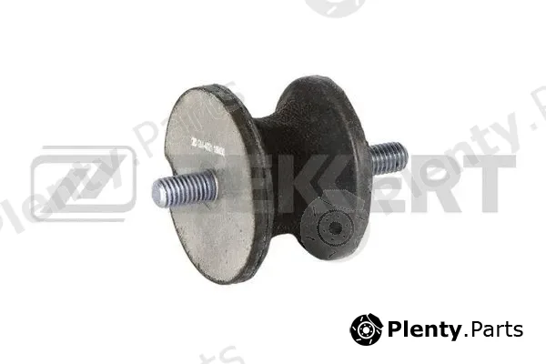Zekkert GM-4021 — Mounting, engine
