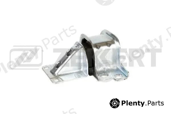 Zekkert GM-4135 — Mounting, engine