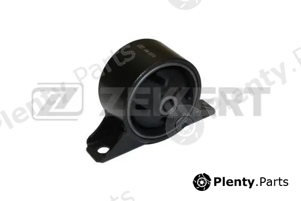 Zekkert GM-3372 — Mounting, engine