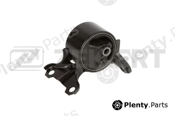 Zekkert GM-4206 — Mounting, engine
