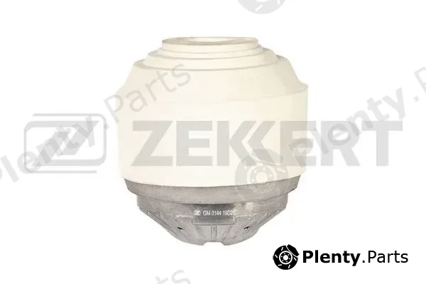 Zekkert GM-3144 — Mounting, engine
