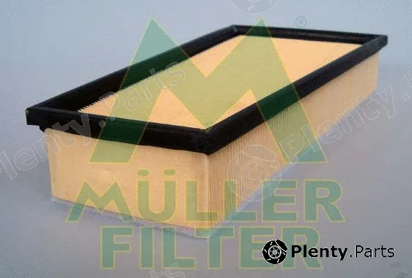 Muller Filter PA154 — Air Filter