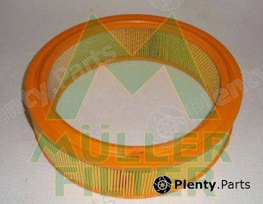 Muller Filter PA237 — Air Filter