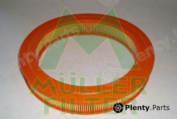 Muller Filter PA254 — Air Filter