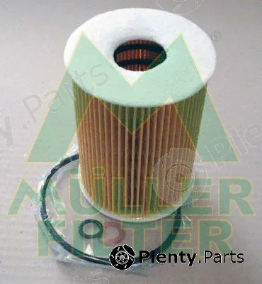 Muller Filter FOP277 — Oil Filter