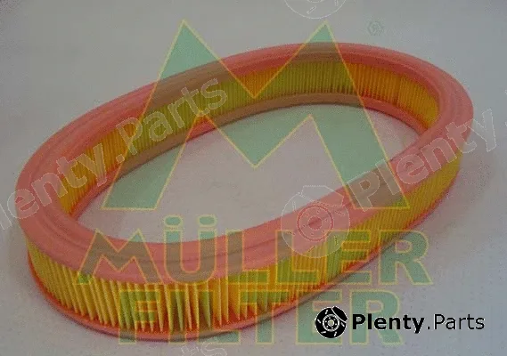 Muller Filter PA323 — Air Filter