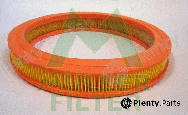 Muller Filter PA669 — Air Filter