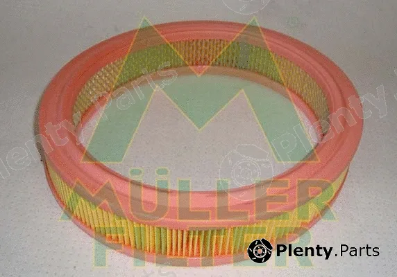 Muller Filter PA174 — Air Filter